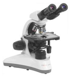 Микроскоп бинокулярный MC300XP